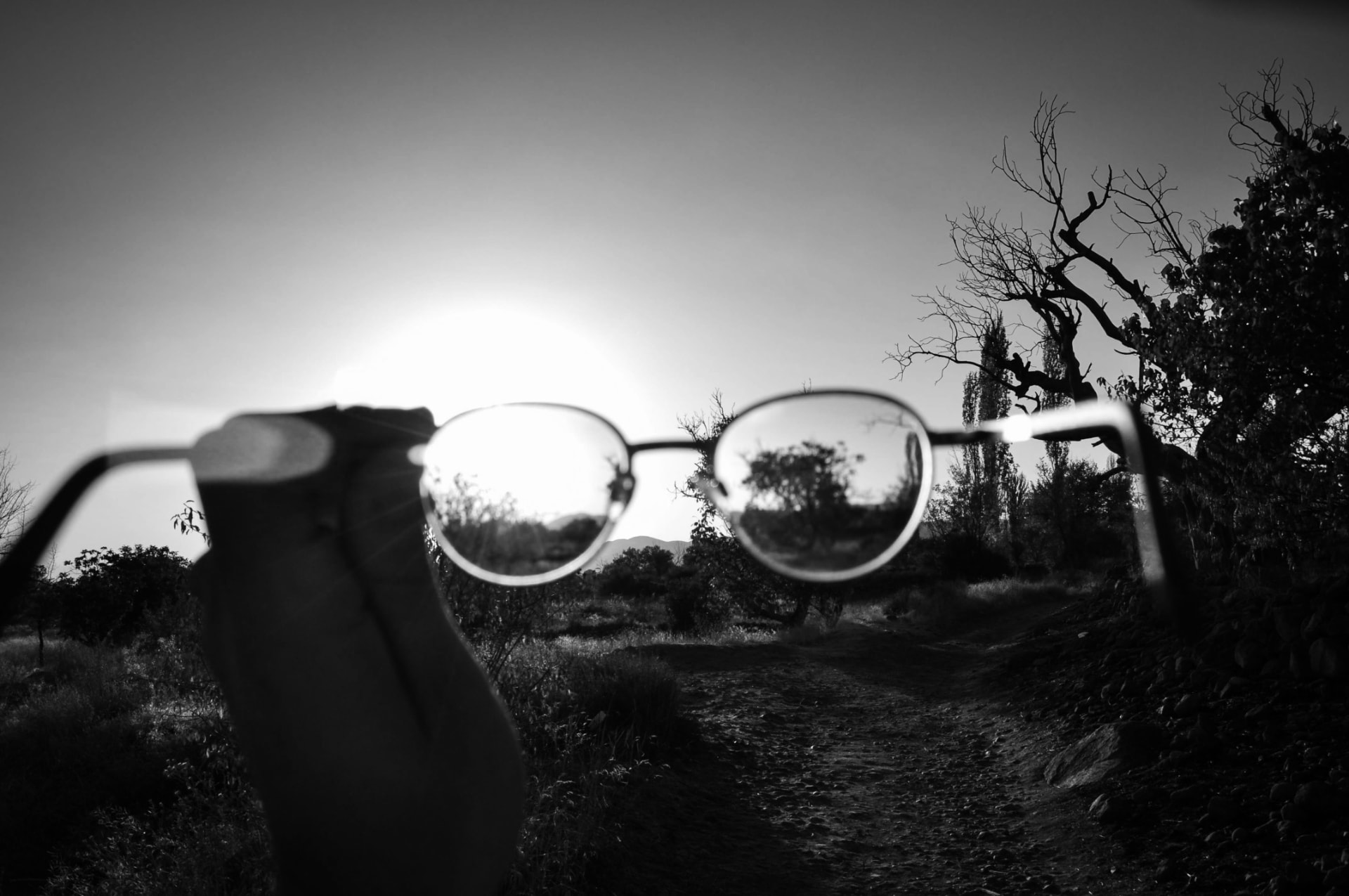 Glasses bringing a sunlit landscape into focus